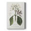 Tropical Botanical IV - Cavas enveloppés de galerie-1483249423
