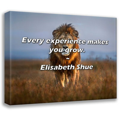 Elisabeth Shue Quote: Every experience makes you grow.