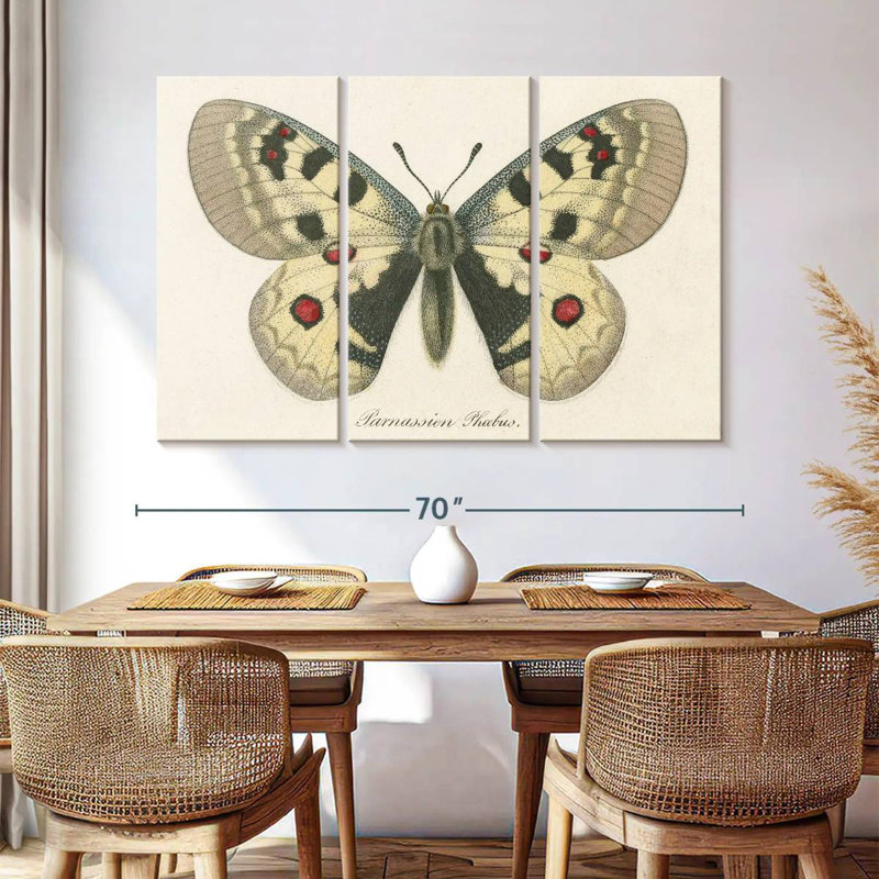 Natures papillon III, H 42 po x l 65 po