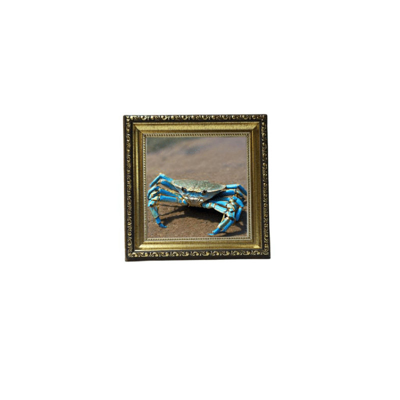 Art antique avec cadre doré crabe bleu 4, H 22 po x l 18 po