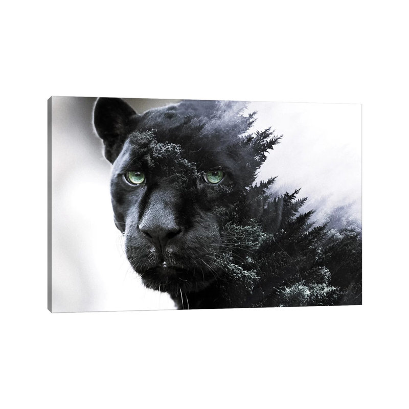 Black Panther by Paul Haag - Wrapped Canvas Print, 30.48cm H x 45.72cm W x 1.91cm D