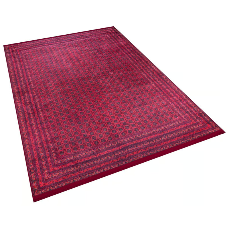 Tapis intérieur / extérieur en coton Rumjana, Rectangle 2 pi 7 po x 4 pi 11 po