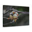 No Frame Print on Canvas-2044050074