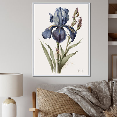 «Blue Iris Botanical Illustration I», reproduction sur toile