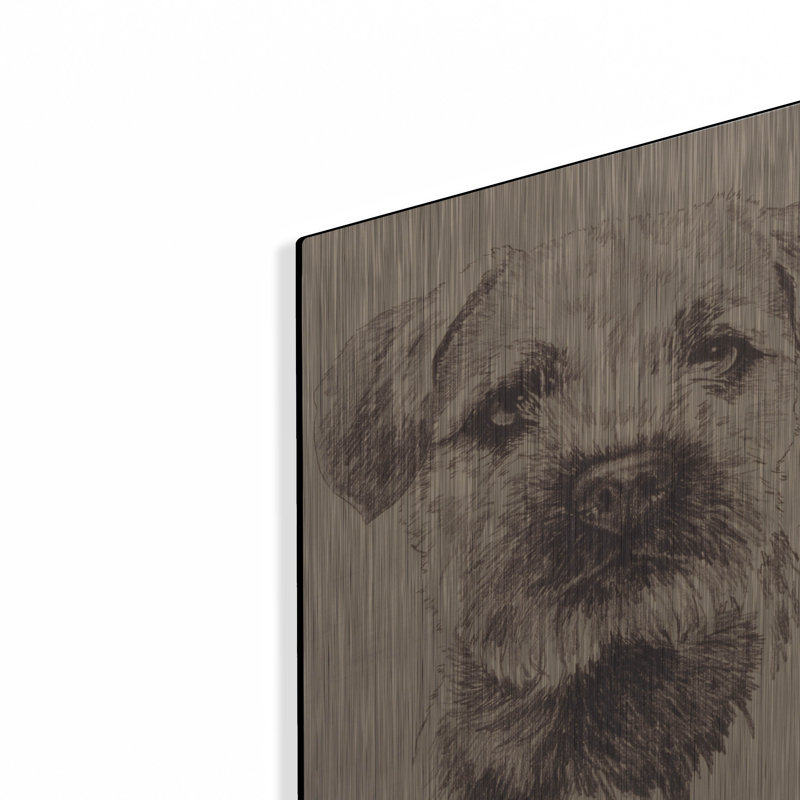 "Border Terrier" par Barbara Keith, H 16 po x l 12 po