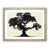 Oak