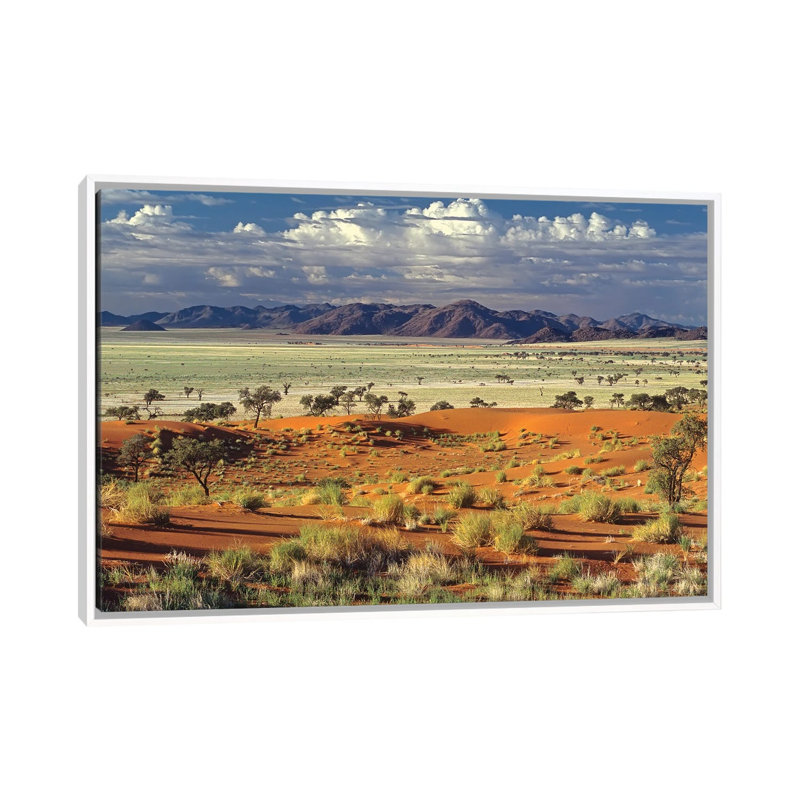 Tok Tokkie Desert by Marc Pelissier - Floater Frame Print on Canvas