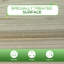 Ballston 91cm x 51cm x 76cm Raised Garden Bed, Raised Planter with Legs