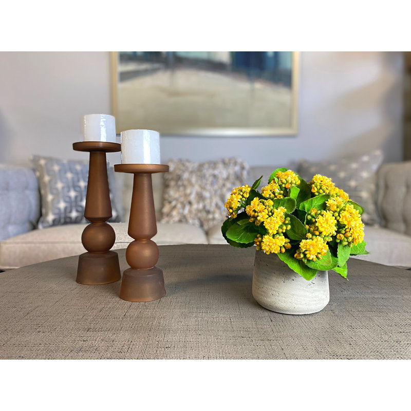 Kalanchoe Arrangement in Fiberstone Pot, Yellow