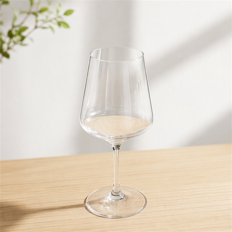 Plastic Wine Glasses Set of 4 (18oz)