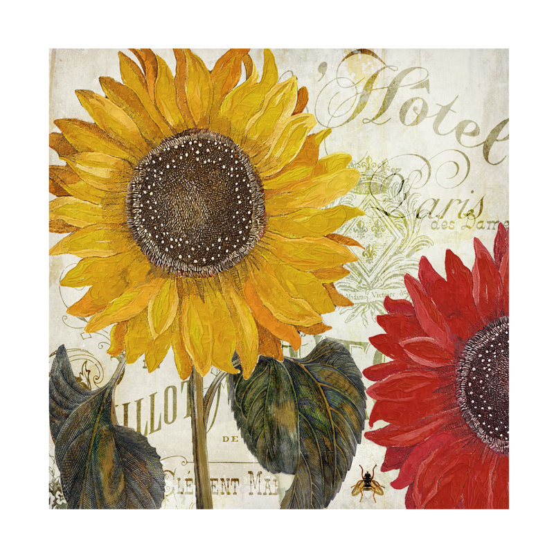 Art sur toile «Bachelor Sasha Sundresses I», H 14 po x l 14 po