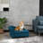 Pet Sofa Bed Couch With Storage-462714167-466623255