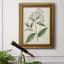 Toile encadrée de qualité supérieure Antique Botanical Collection-763440723