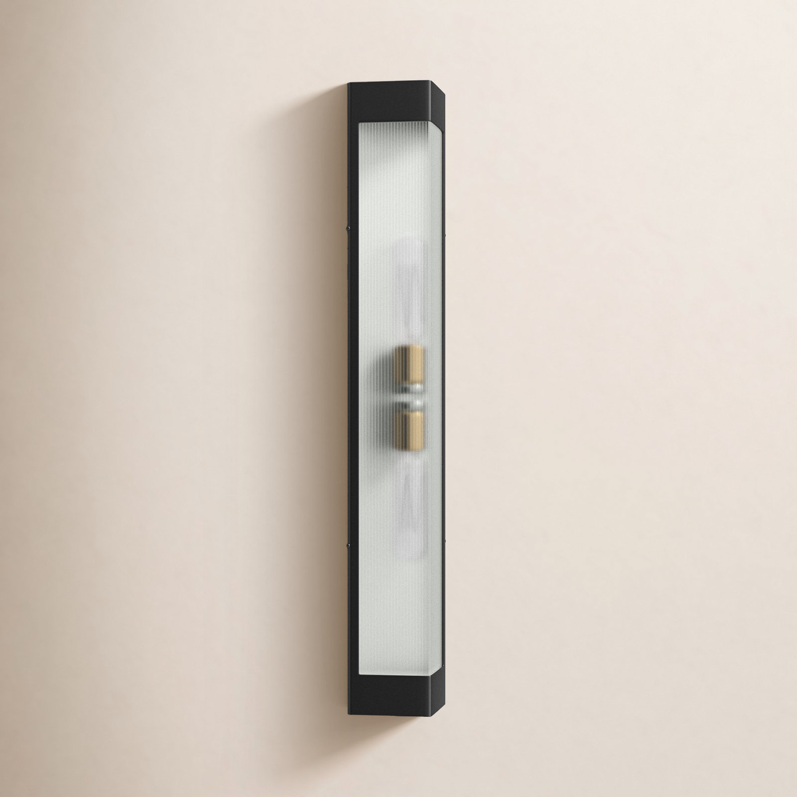 Myra 2 Light Rectangle Outdoor Aluminum Wall Light