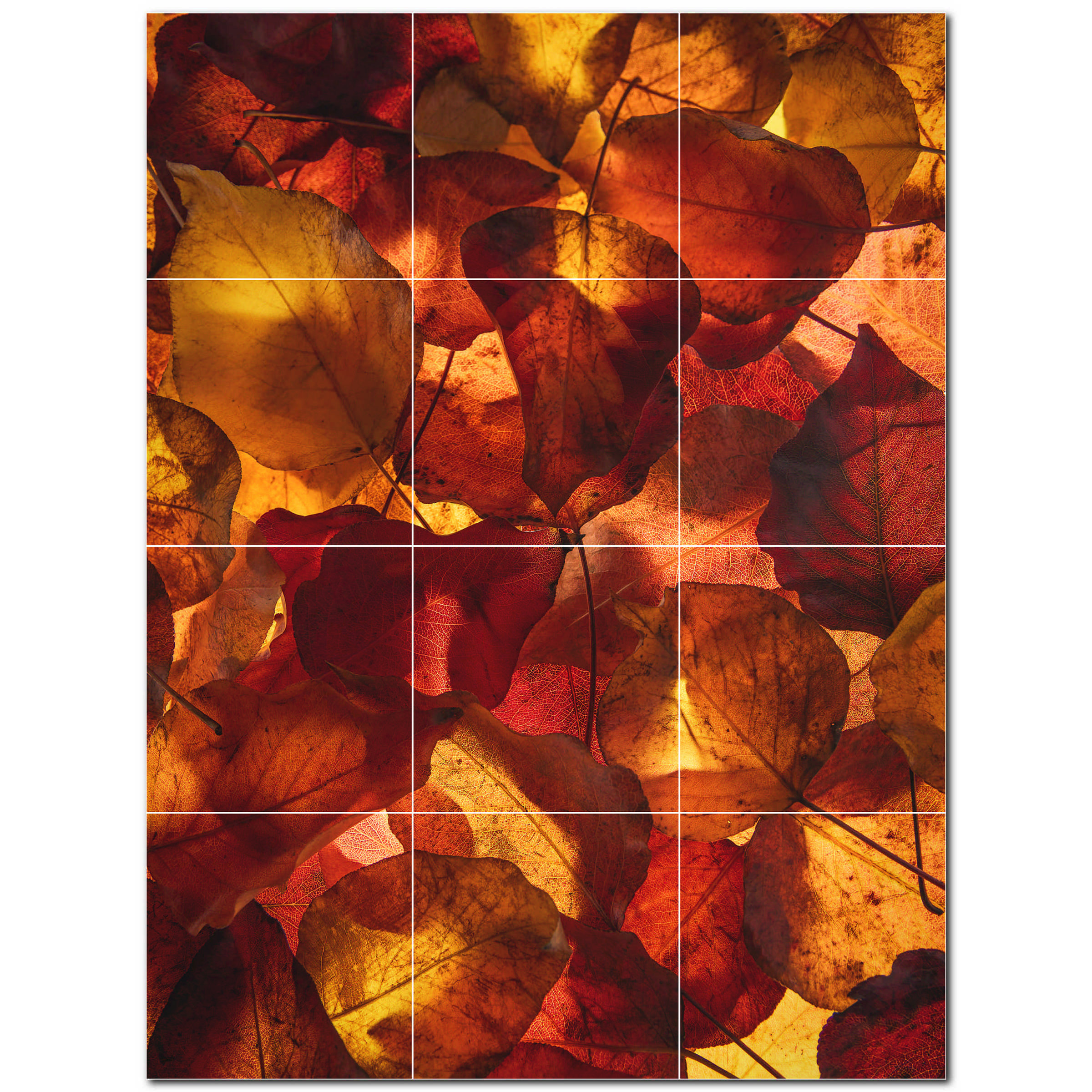 Picture-Tiles.com 36