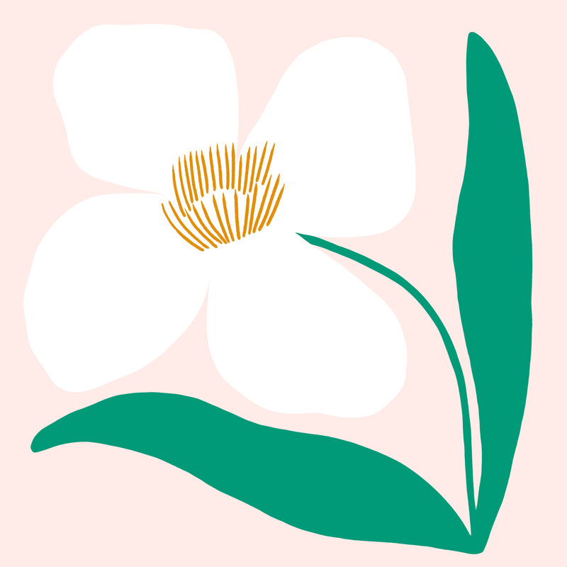 «Single White Abstract Flower» par Maritza Lisa - reproduction d'art sur toile tendue, H 12 po x l 12 po, Non