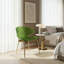 Swan Chair – Iconic Design With Elegant Light Reflection-1037941699