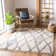 Triplett Fringe Shag Performance Abstract Rug