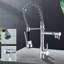Belfry Kitchen Allurine Pull Down Kitchen Faucet
