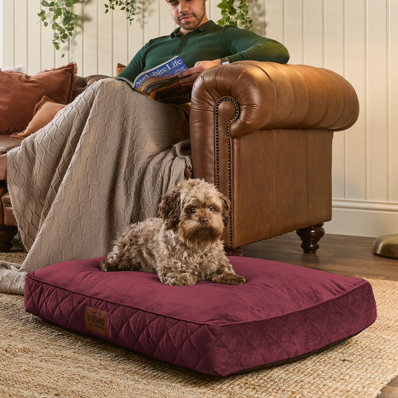Slumberdown Paws for Slumber Raised Padded Dog Bed – Comfortable, Supportive & Durable Pet Bed for All Breeds