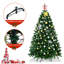 Sapin de Noël vert Douglas-337651271