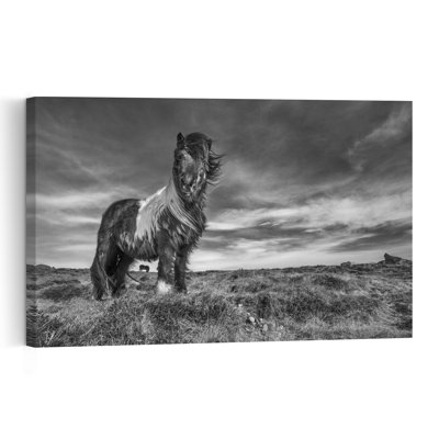 Windswept Wild Horse Dramatic Abstract Contemporary Horse Landscape Nature Wall Art Print 1 Piece Wrapped Canvas Wall Art