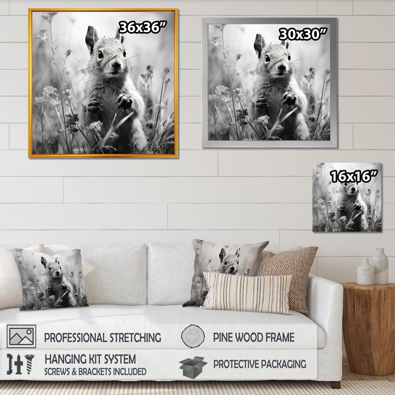 Noir, blanc, écureuil, forêt, acrobate II - écureuil, art mural animal, Cadre simple noir, H 16 po x l 16 po x P 1 po