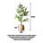 Artificial Bay Tree Green Plant Pot