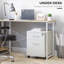 40cm Wide 2 -Drawer Mobile File Cabinet-648953201
