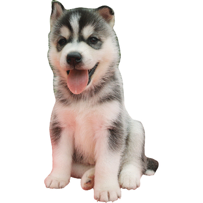 Adhésif décoratif Husky, H 24 po x l 13,5 po