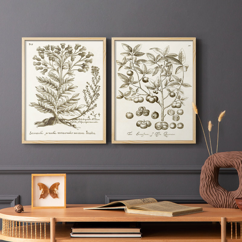 «Sepia Botanical Journal I», reproduction encadrée de qualité supérieure - prête à être accrochée - aucun clou requis - aucun clou requis