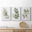 Winter Botanical I - Ensemble de 3 reproductions sur toiles tendues-572469820