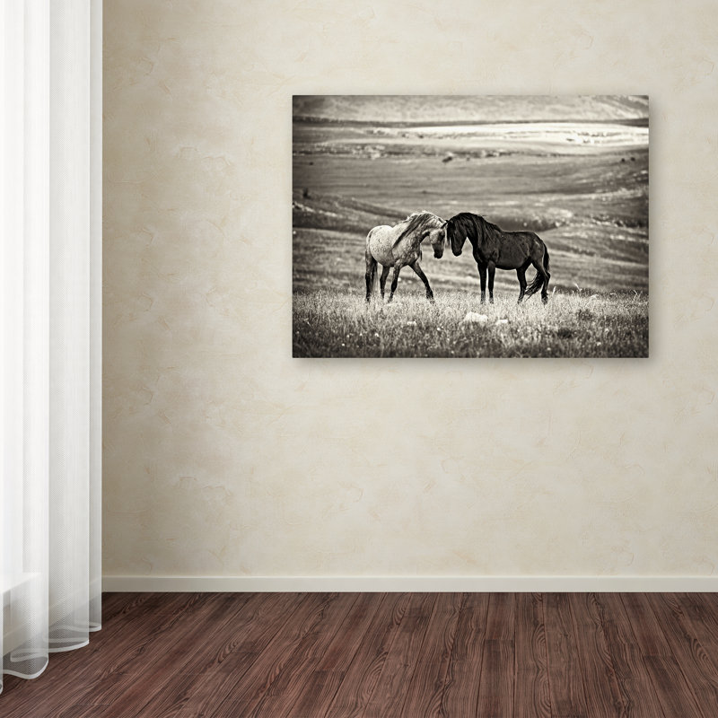 Wrapped Canvas Wall Art - Vedran Vidak 'Close Encounter' Wall Art for Living Room, Bedroom, or Office Décor - 35x47