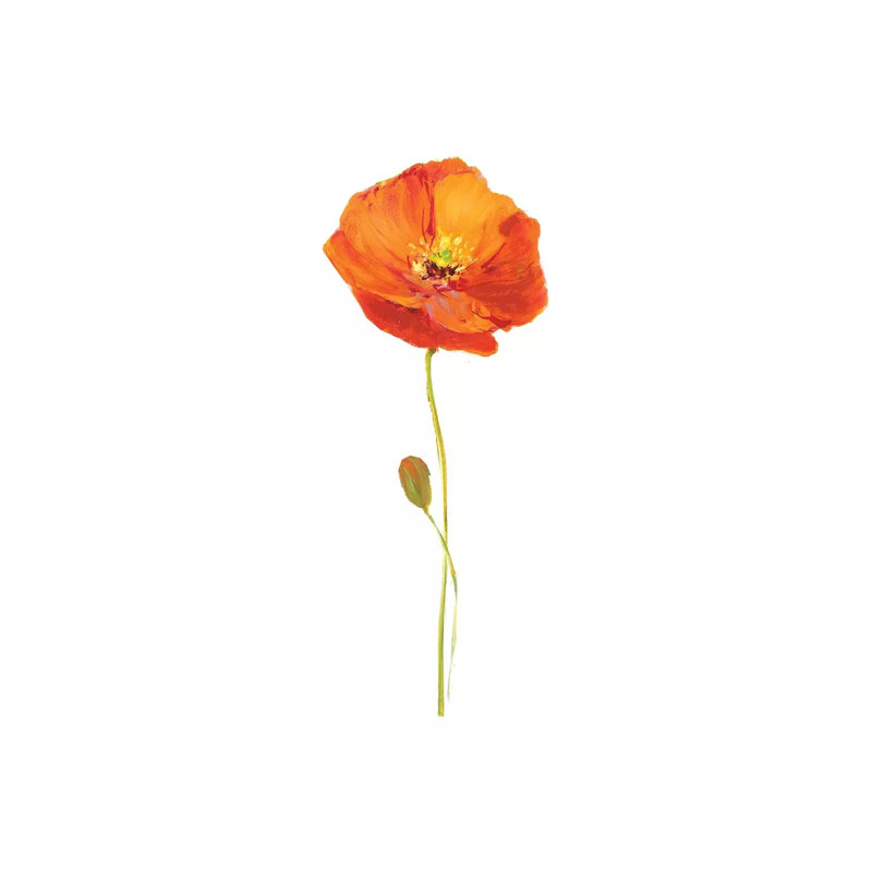 Poppy Pop II 1 Piece Wrapped Canvas Panoramic Painting, 91.44cm H x 30.48cm W x 1.91cm D