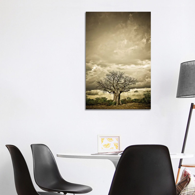 Baobab Hierarchy IV by Klaus Tiedge - Print on Canvas, 66.04 cm H x 45.72 cm W x 3.175 cm D, Wrapped Canvas