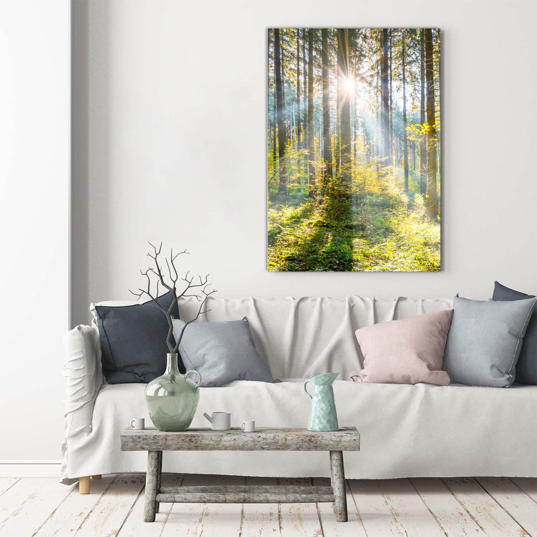 Sonne im Wald - Kunstdrucke auf Leinwand