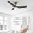 Alcia 52'' Ceiling Fan with LED Lights-784732636