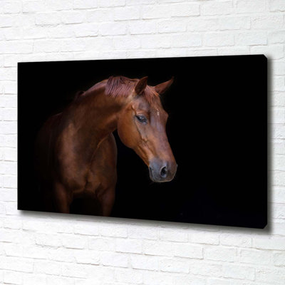 Brown Horse - Wrapped Canvas Print