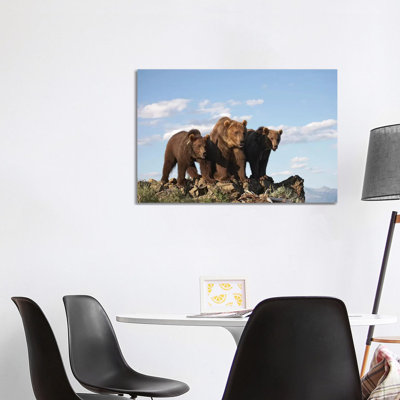 Grizzly Bear Mother with Two One Year Old Cubs 1 Piece Wrapped Canvas Wall Art