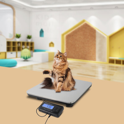 Heavy Duty Digital Platform Scale Weight 660LB