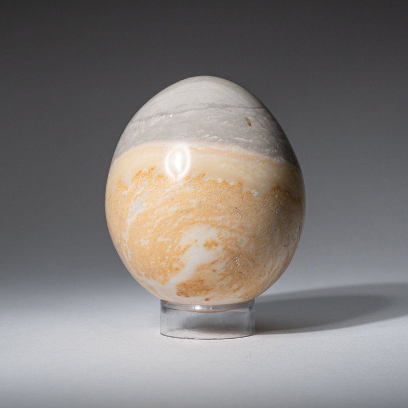 Véritable œuf de jaspe polychrome poli de Madagascar (1,03 lb)