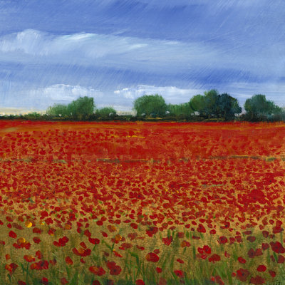 " Field Of Poppies II " by Timothy O' Toole Painting Print