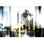 Parvez Taj - Wrapped Canvas Print-12309666