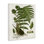 Art mural sur toile Curves Ferns Study par Susan Arnot bp-692_CN