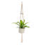 Bird''s Nest Fern Macramé in Décor Pot