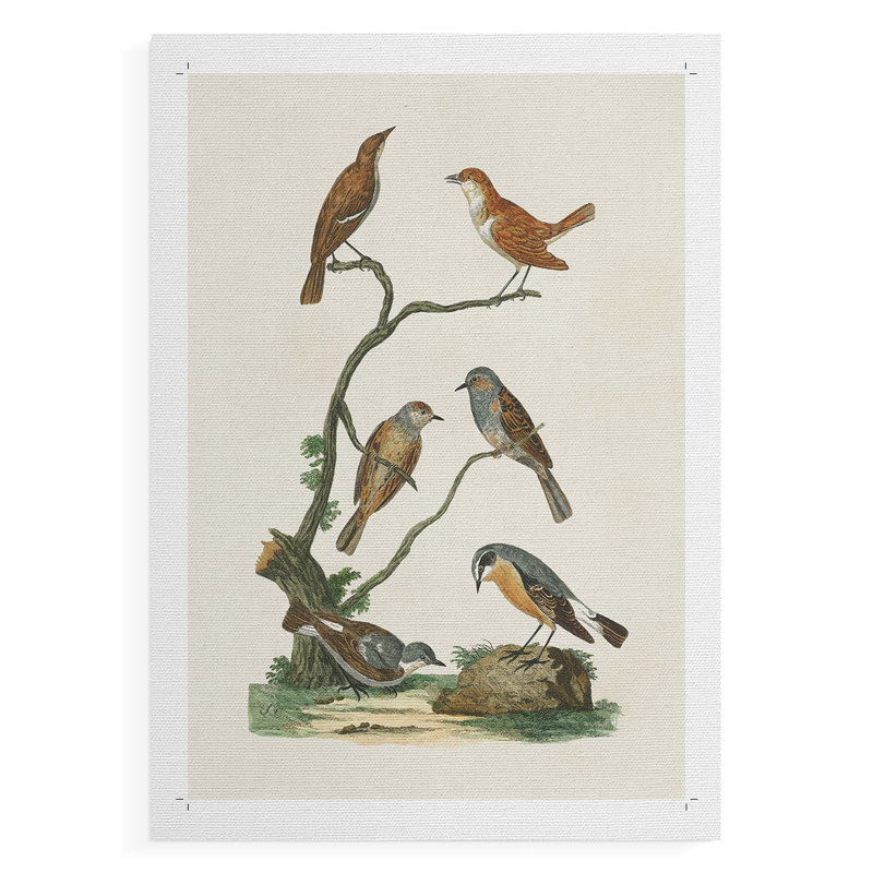 Oiseaux antiques dans la nature IV - Impression sur toile seulement - NON-CADRE, H 60 po x l 40 po