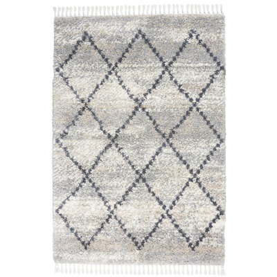 Tapis argenté à poils longs Drusilla