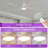 Karlena 52'' Modern Large Ceiling Fan With Led Lights And Remote Control, App, Timer, Memory-1618840099