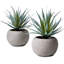 Ensemble de pots Evergreen-828507520