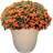 Ayaah Pot Planter-1796288146-1796288132